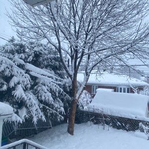 Meet your Posher, Thi cam tu